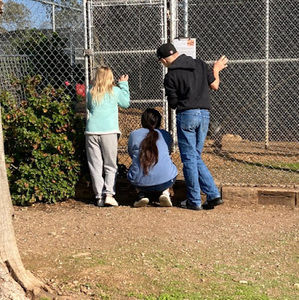 Meet your Posher, Kyla